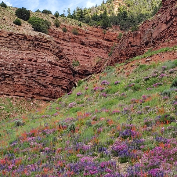 Meet your Posher - Picture 3 of 4